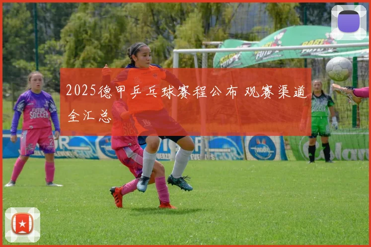 2025德甲乒乓球赛程公布 观赛渠道全汇总