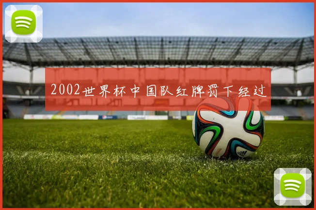 2002世界杯中国队红牌罚下经过