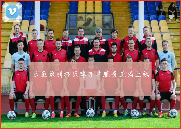 乐鱼欧洲杯买球开户服务正式上线