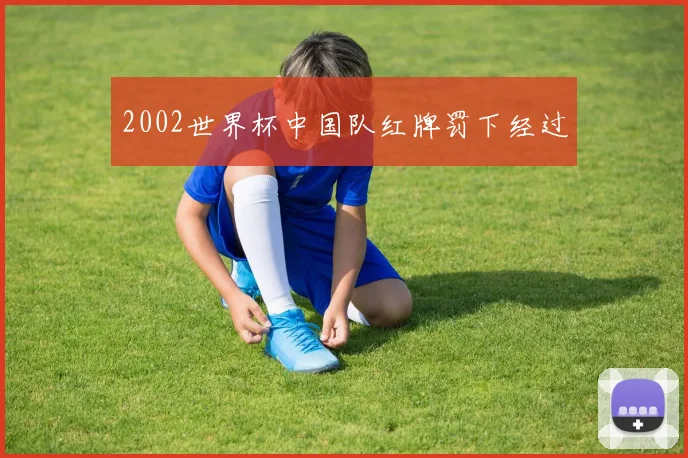 2002世界杯中国队红牌罚下经过