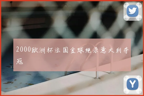 2000欧洲杯法国金球绝杀意大利夺冠