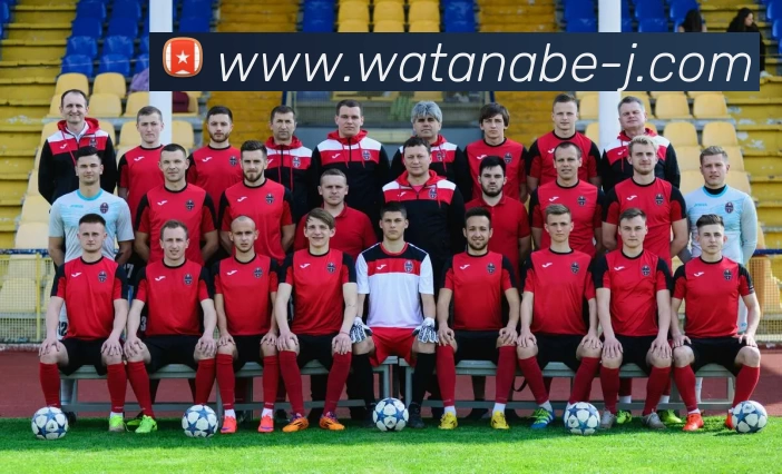 九游j9官网直达平台生态图